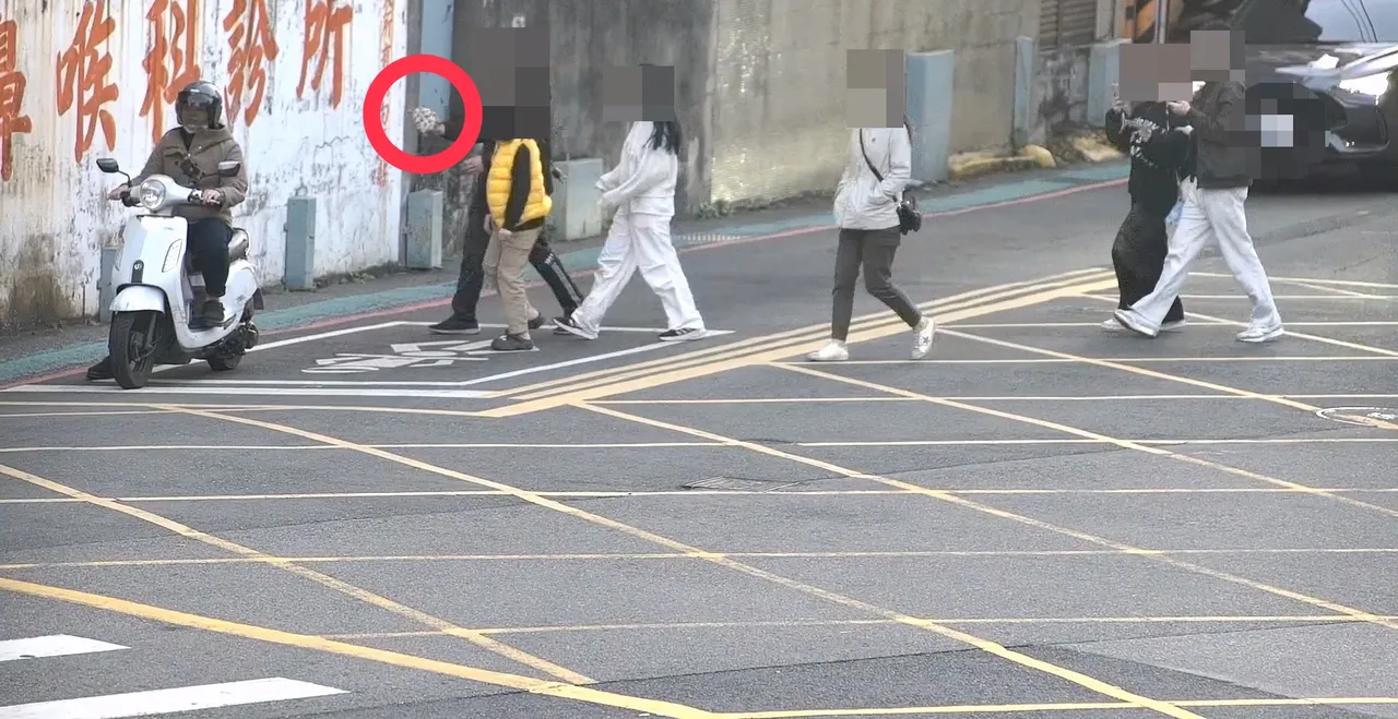 警方調閱監視器畫面，發現寵物龜「錢錢」被一群民眾尋獲帶回。民眾提供