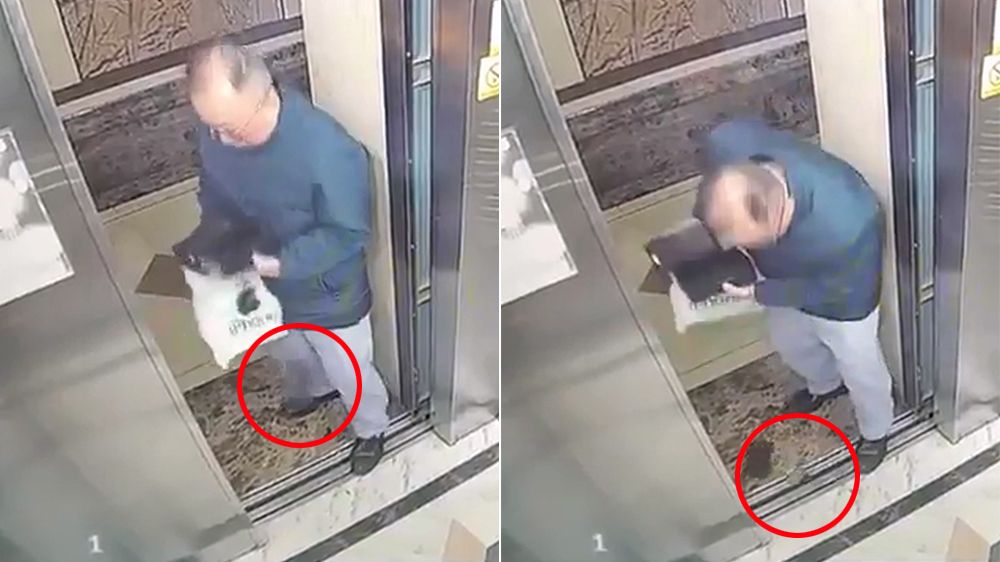 影片|擋電梯關門「急開新手機」 iPhone墜縫自盡不跟阿伯在一起