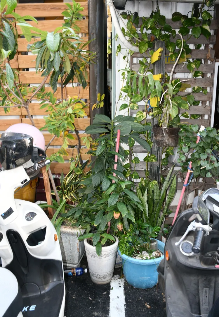 建築物縫隙處角落處常積易燃可燃物，遭抽菸者亂丟菸蒂引起火災。翻攝畫面