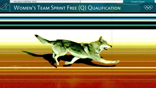 超萌捷克狼犬闖入冬奧滑雪賽　賽道狂奔被官方記錄「壓線」身影