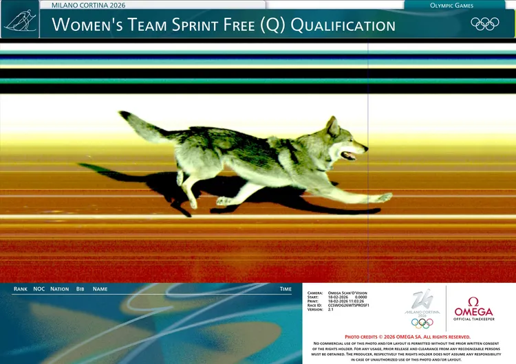 名叫Nazgul的捷克狼犬意外闖入冬奧場地，還衝過終點線被Omega相機紀錄下來。品牌提供