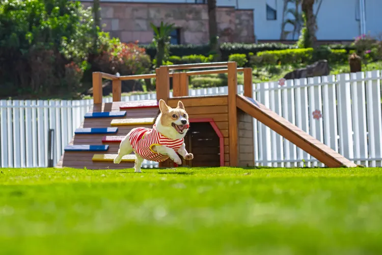 毛孩樂園有玩轉樹洞、溜滑梯、草皮攀爬屋等設施。大溪威斯汀提供