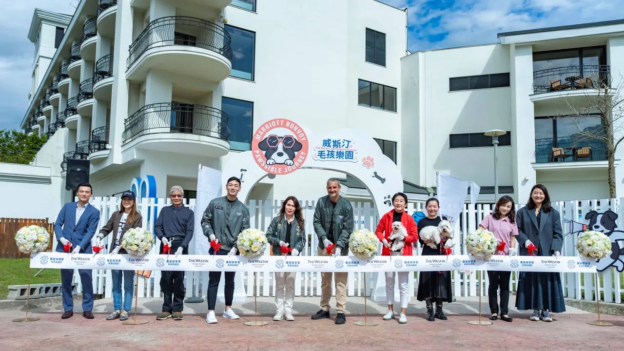 少子化衝擊國旅！北部飯店首座「毛孩樂園」開幕搶商機