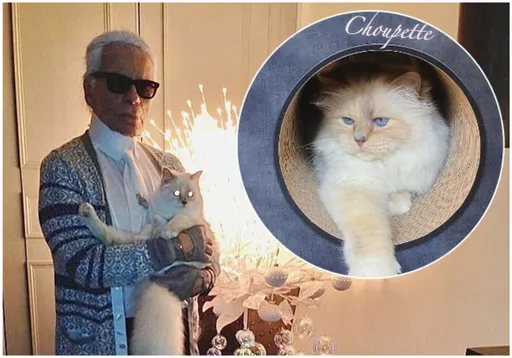 只有愛貓免煩惱！「時尚老佛爺」拉格斐死後7年　家族冒出爭75億遺產