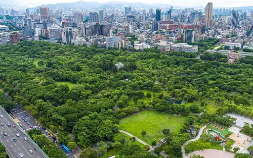 北市爆漢他病毒！大安森林公園「一堆松鼠」恐感染？醫解答