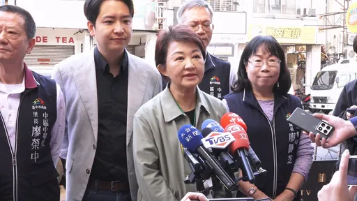 藍綠10立委「大亂鬥」遭起訴　盧秀燕：司法的手不應伸進國會