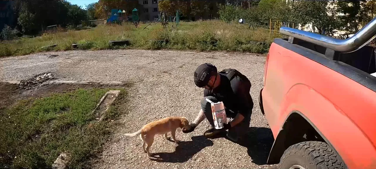 烏克蘭第一陣線的軍人被貓狗治癒受傷的心靈。天馬行空提供