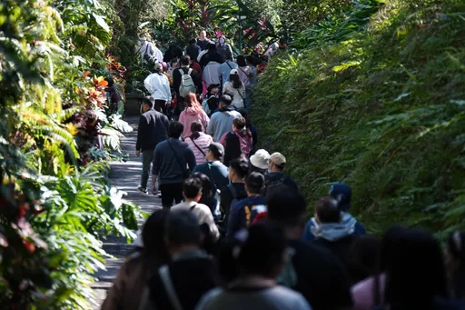 12生肖何時出門拜年發大財？　命理師說給你聽