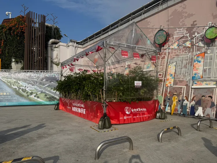 北市府將吸菸區設於大稻埕碼頭廣場。張綵茜攝