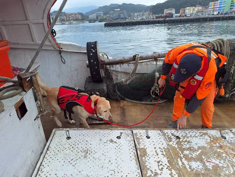 海巡人員偕同偵蒐犬執行安檢。翻攝畫面
