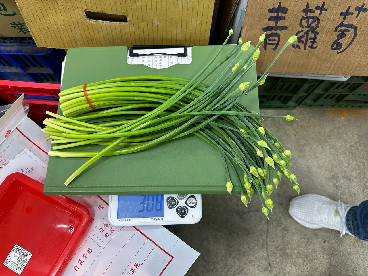 多吃辛香類蔬菜，不僅能促進血液循環、提升代謝，還具抗發炎與殺菌效果。台北市衛生局提供