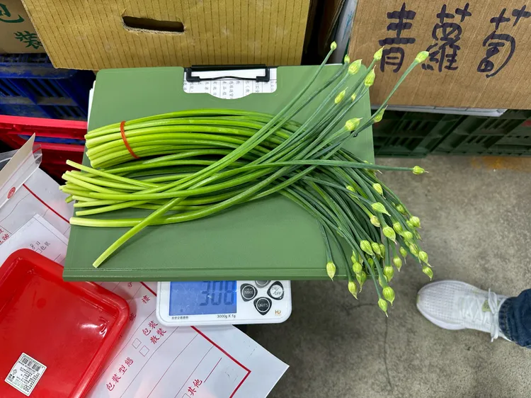 多吃辛香類蔬菜，不僅能促進血液循環、提升代謝，還具抗發炎與殺菌效果。台北市衛生局提供