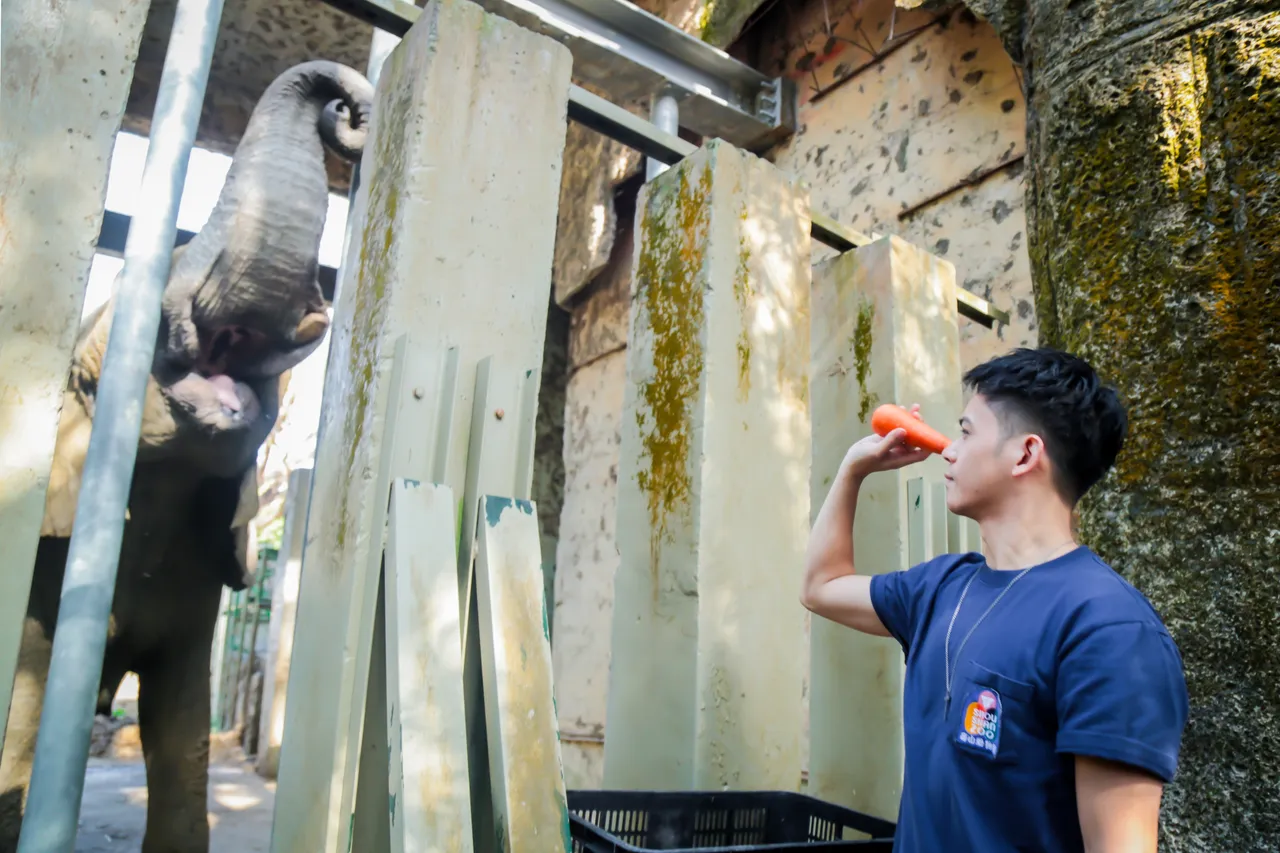 李淳睽違一年再訪非洲象阿里。南瓜電影有限公司提供