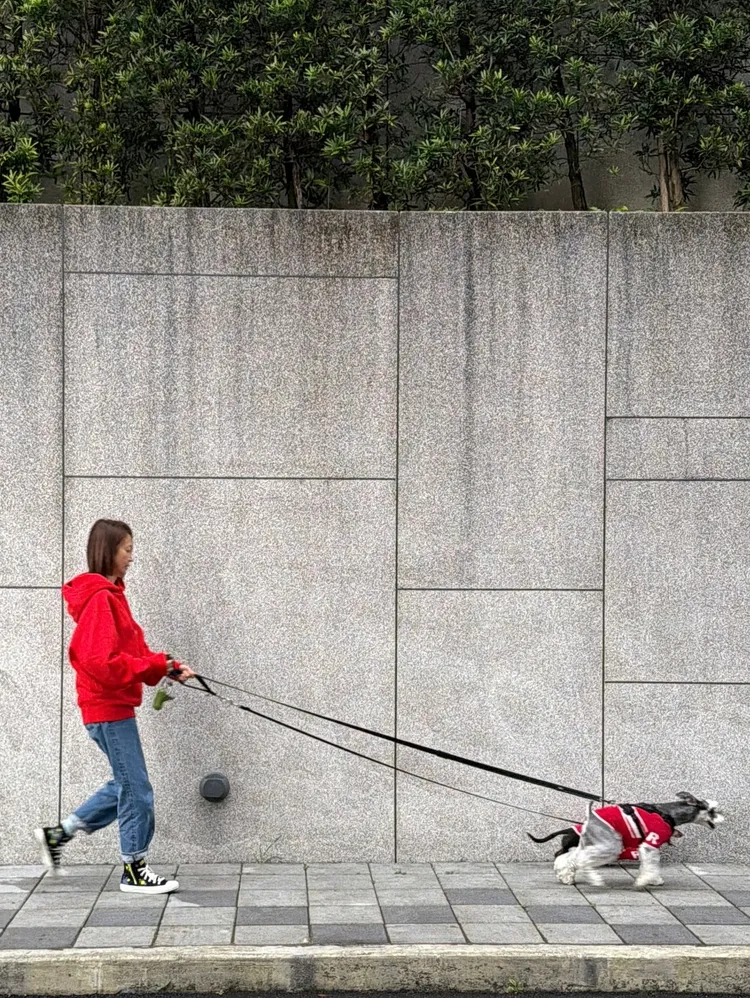潘慧如非常愛毛孩，對於惡意重傷強硬反擊。翻攝自潘慧如臉書