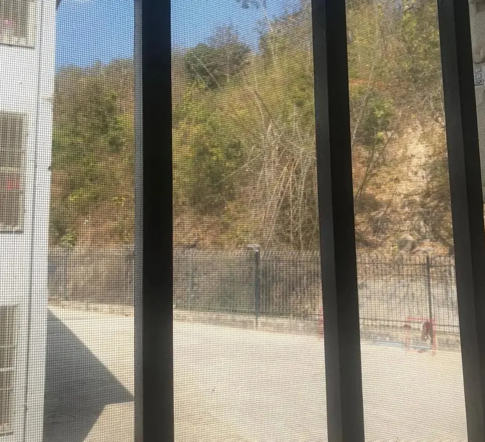 青松園區建物都有鐵窗與鐵網。翻攝紅星新聞