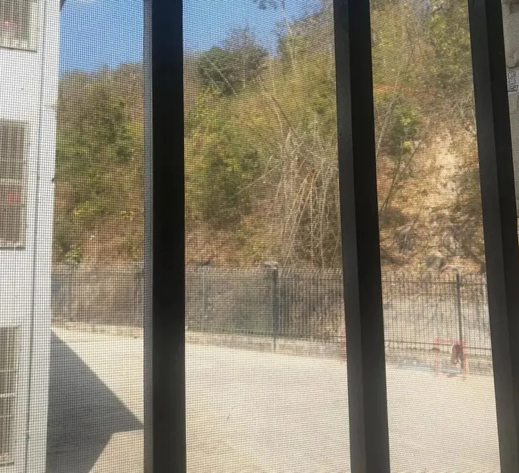 青松園區建物都有鐵窗與鐵網。翻攝紅星新聞