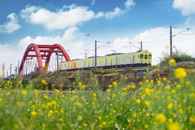 山嵐號列車穿越雲嘉南平原起伏稻浪，為南臺灣鐵道旅行寫下全新篇章。雄獅旅遊提供