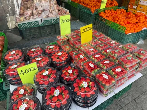 現在買機票來得及！韓國草莓價格崩盤　一盤竟只要台幣40元