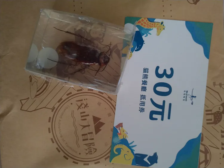 一名網友獲得台北動物園刮刮樂「斑馬獎」，結果一打開竟是蟑螂標本。Threads網友「@ginatachang」授權提供