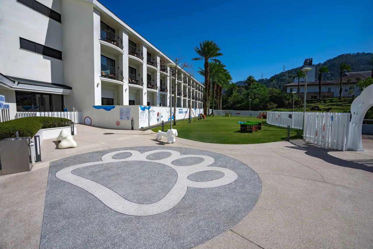 大溪笠復威斯汀打造北部飯店首座「毛孩樂園」　帶寵物一起旅行