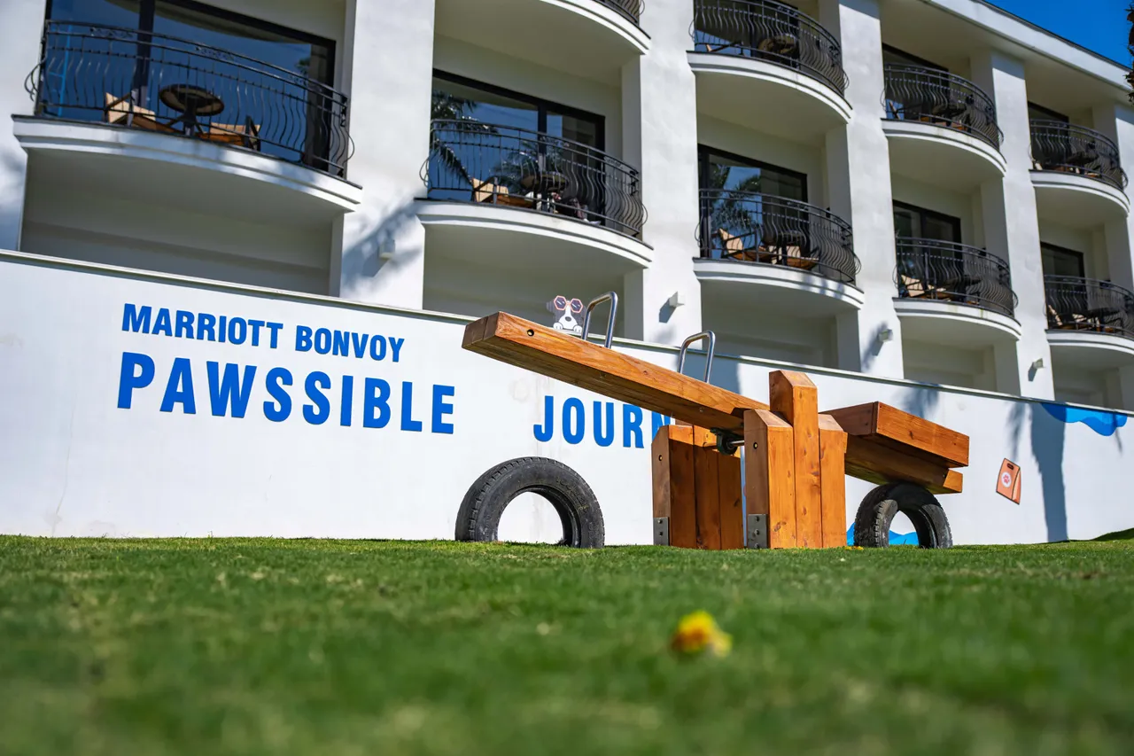 「威斯汀毛孩樂園」內設有專屬溜滑梯、蹺蹺板等多項設施。大溪笠復威斯汀提供