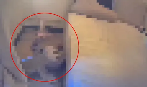 獨居男失聯兩天家中倒地命懸一線　北市警「科技協尋」即時救援送醫