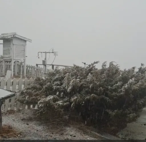 影／玉山降雪！大陸冷氣團持續發威　中部以北低溫13℃