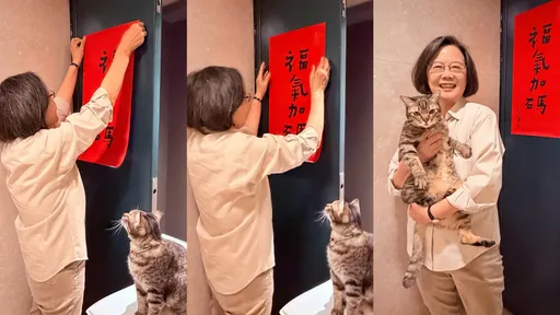 蔡英文貼春聯竟遭監督「我不敢貼歪…」爆笑畫面曝光！