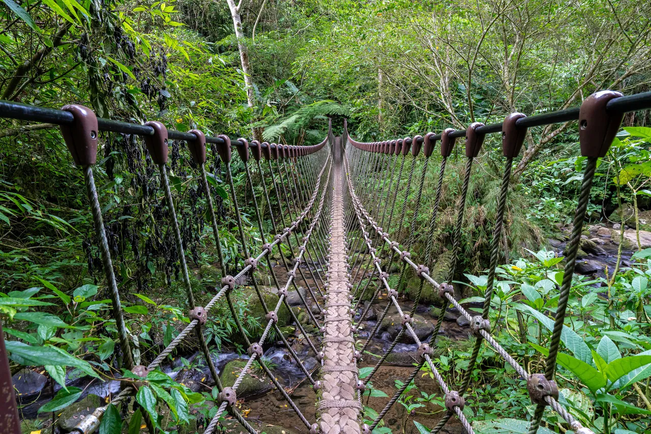 馬胎古道。新竹縣府提供