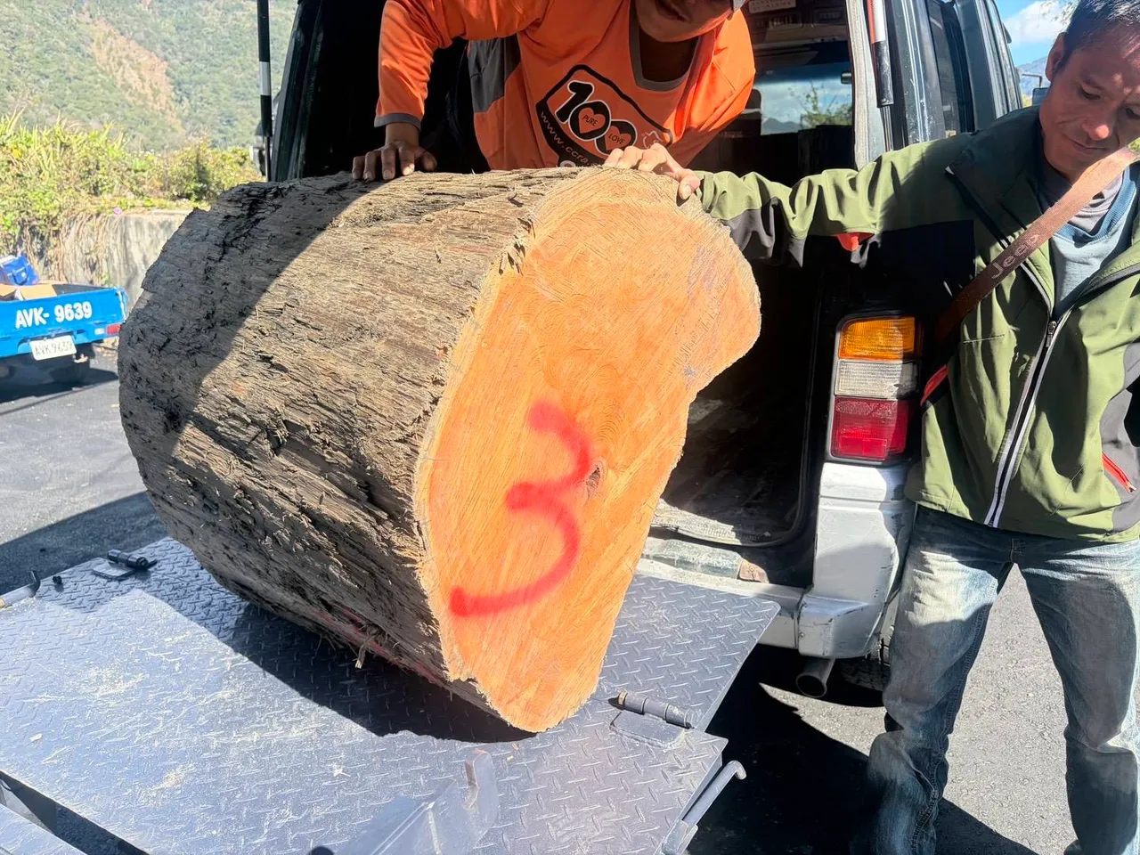 警方查扣的扁柏。民眾提供