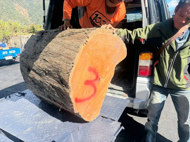 警方查扣的扁柏。民眾提供