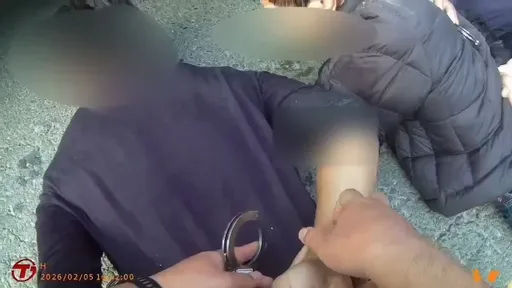 奧萬大林道山老鼠出沒　南投警攔截整車「國寶木」逮3人　