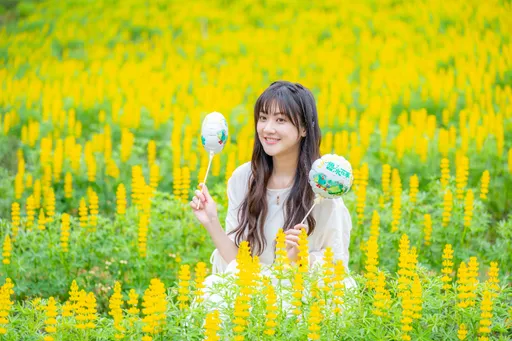 桃園魯冰花季龍潭登場　張善政邀全民走進浪漫黃金客庄花海