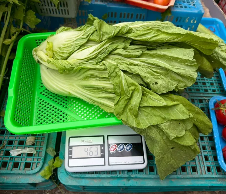 北市年節食品抽驗結果顯示，生鮮蔬果與菇類不合格率高。台北市衛生局提供