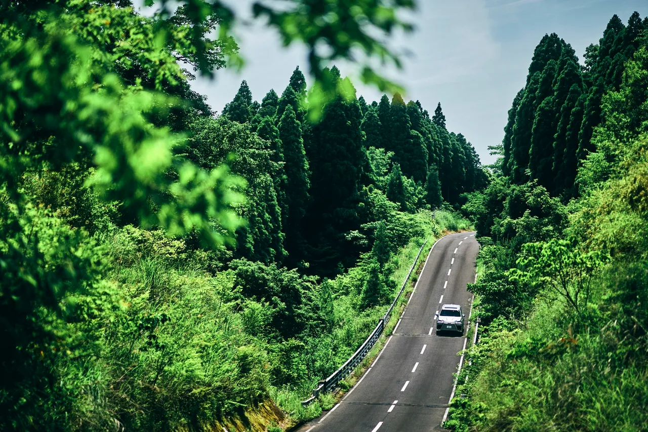 日本九州絕美道路駕乘體驗。業者提供