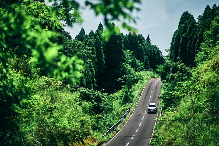 日本九州絕美道路駕乘體驗。業者提供