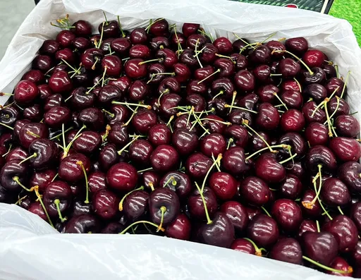 櫻桃柯南！他花4千元買空運櫻桃　一量發現30%尺寸都縮水