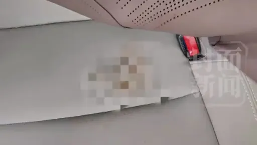 乘客車內排洩「屎留後座」　運將傻眼：5度問如廁都說不用