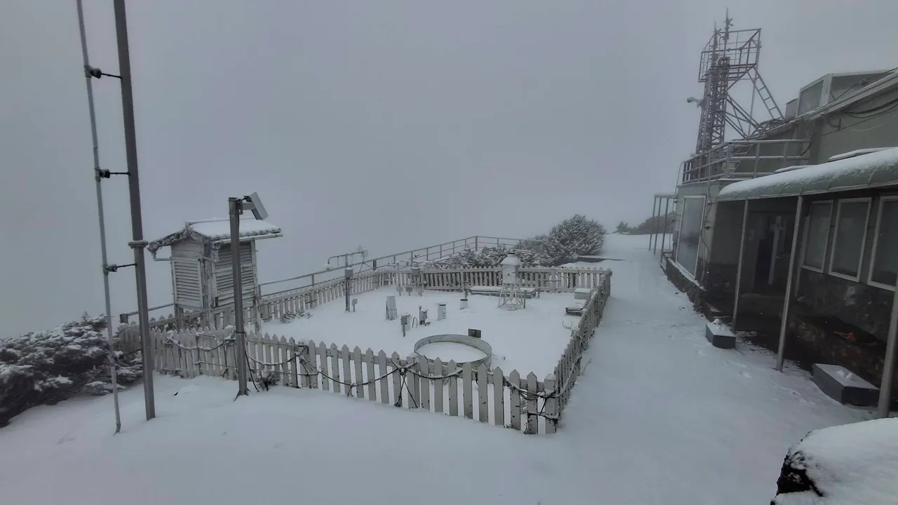 今日水氣足夠，玉山氣象站一早降雪變銀白世界。氣象署提供