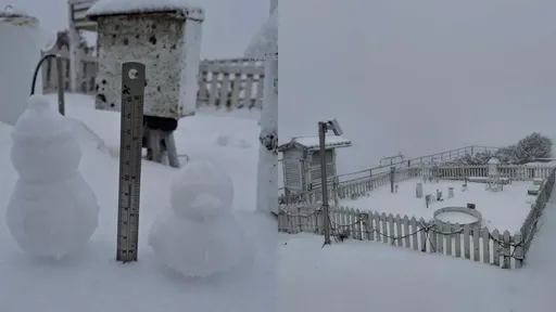 228玉山下雪美景曝！雪深達4公分　可堆出雪人、小鴨