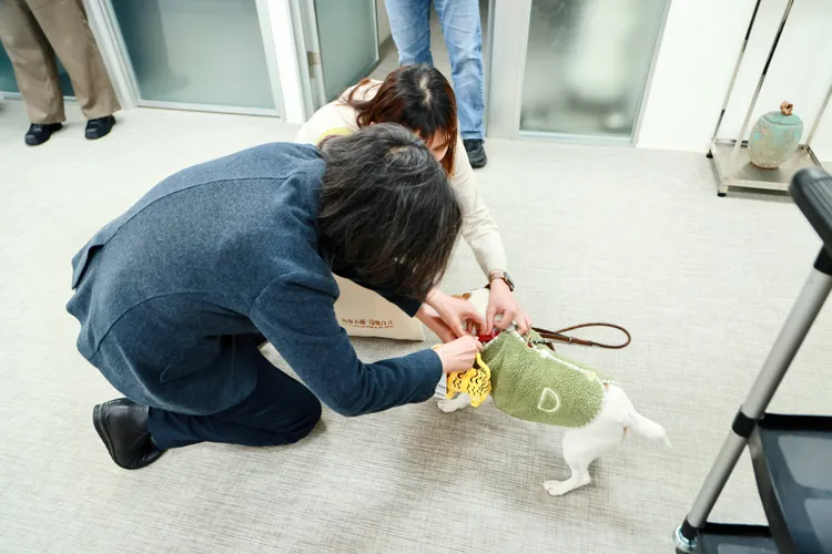 蔡英文還替愛犬「樂樂」搭配萌虎新朋友。蔡英文辦公室提供