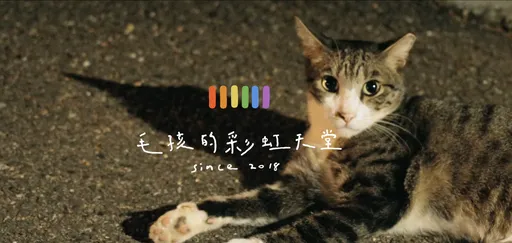 「毛孩彩虹天堂」爆弊端！助浪浪善終募資千萬　竟淪創辦人金庫