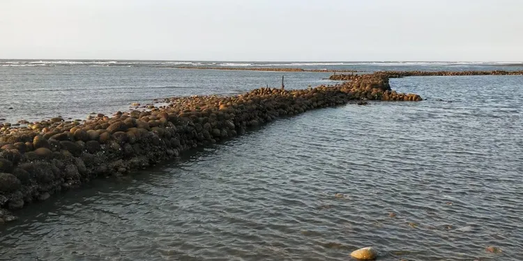 新豐石滬。新竹縣府提供