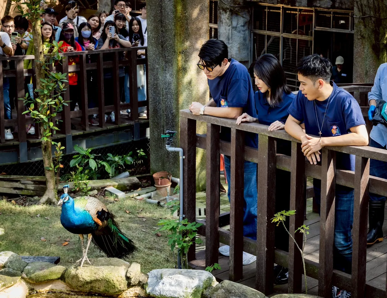 主要演員重返壽山動物園探訪園區動物。影集《動物園》提供