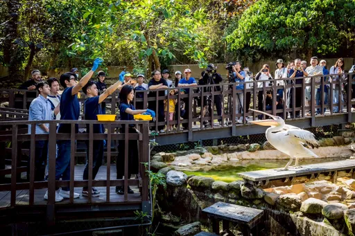 影集《動物園》2/20 Disney+全球首播！主要場景在這家動物園