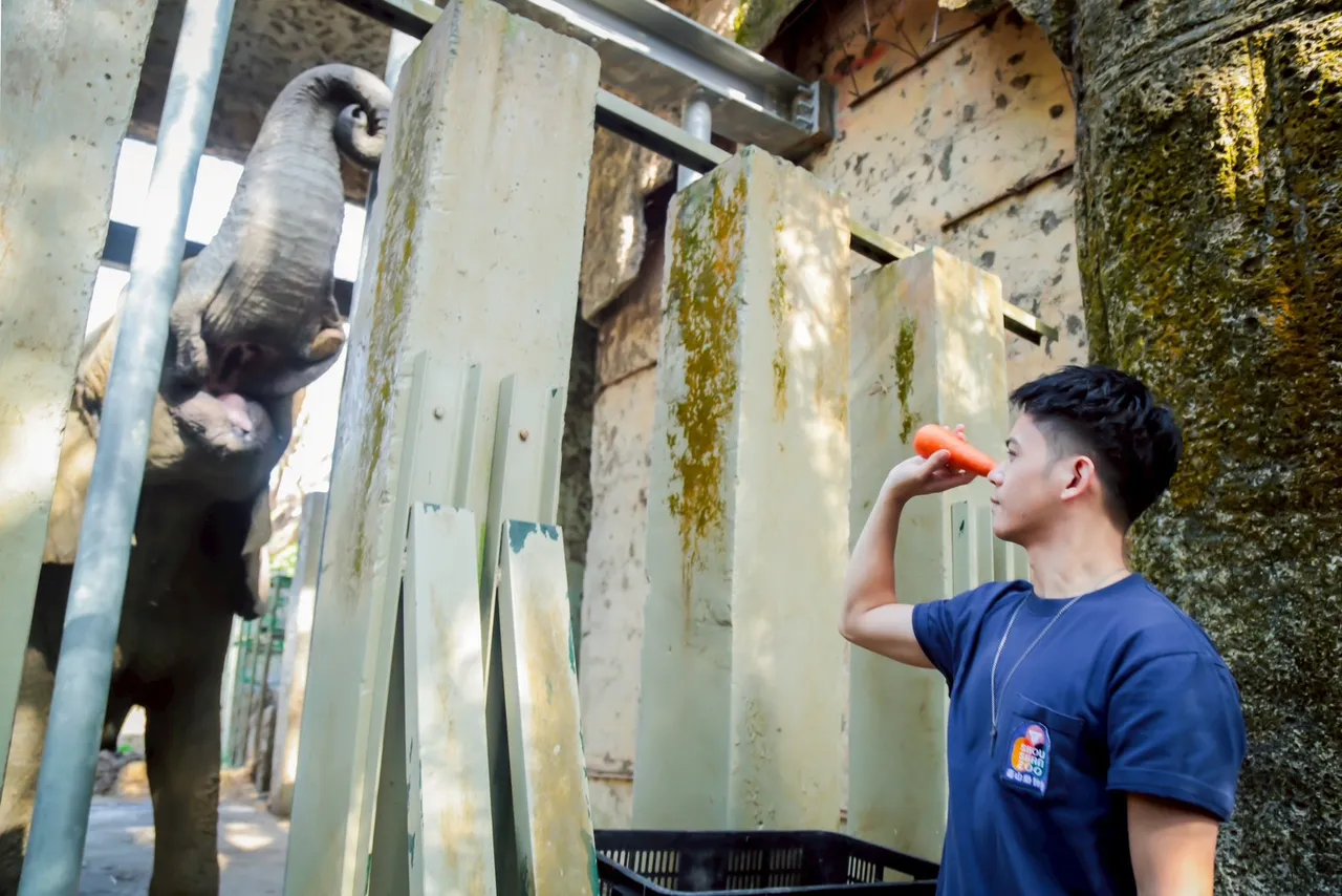 主要演員重返壽山動物園探訪園區動物。影集《動物園》提供