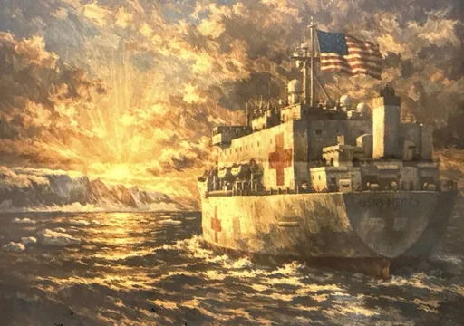 川普不生氣了？派遣軍事醫療船前往格陵蘭　主動救助當地病患