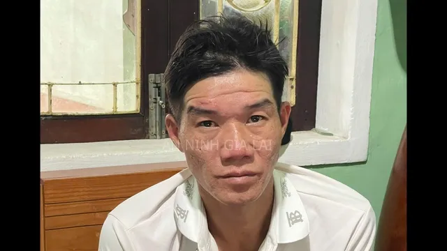 被指認為竊狗集團首腦。越南青年報