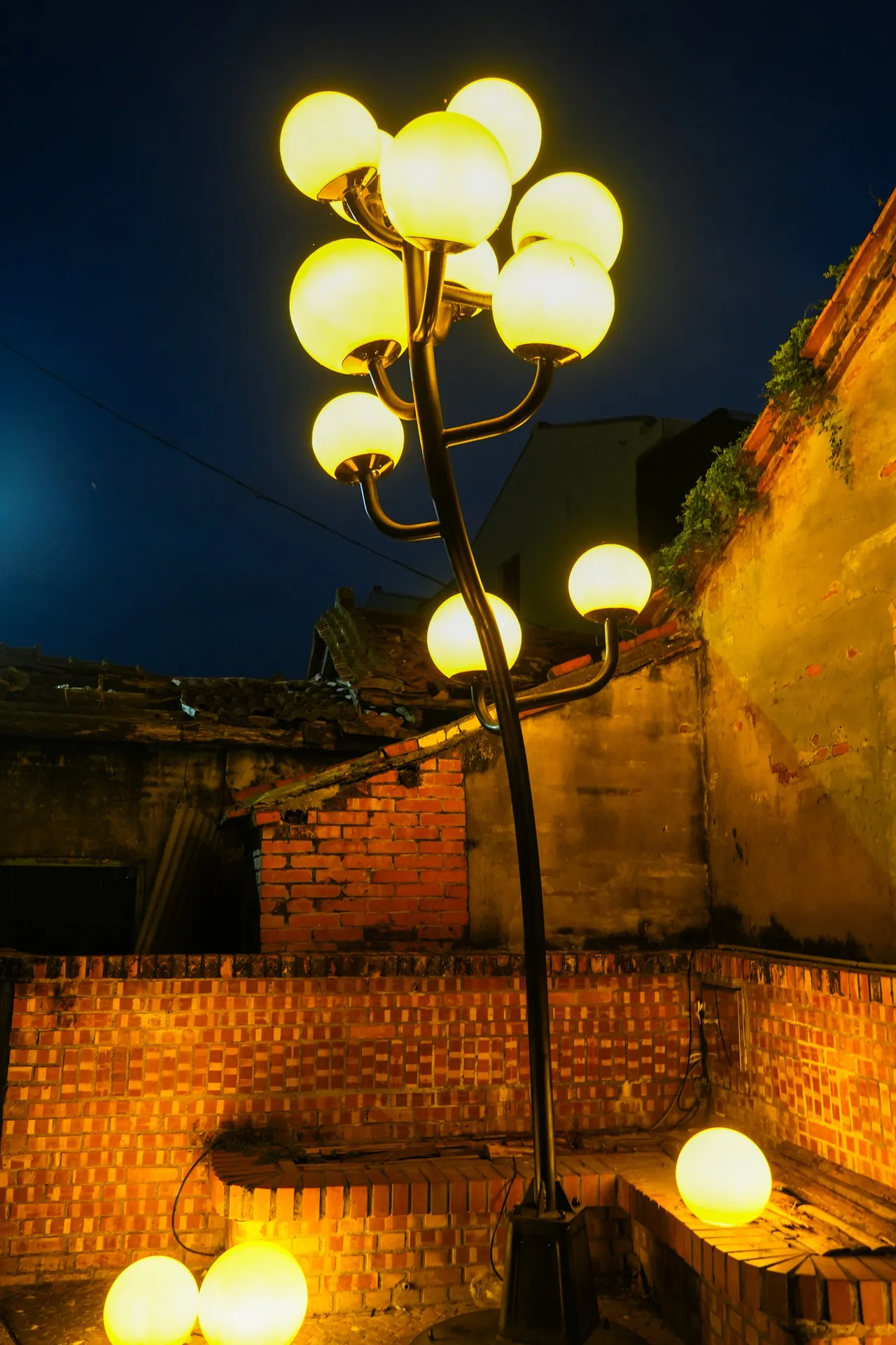 《路燈樹》。田欣雲攝