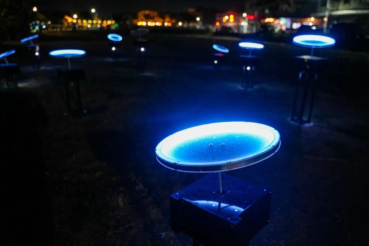 B12 繁月迴光。田欣雲攝